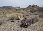 Explore Clipper Mountain Wilderness, Mojave Trails National Monument, California
