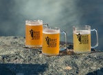 Attend Best Coast Beer Fest, San Diego, California