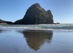 Visit Piha Beach, New Zealand