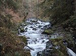 Hike Sol Duc River Trail (Soleduck Trail), Olympic National Park, Washington