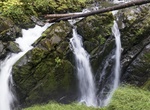 Hike Sol Duc Falls Nature Trail, Olympic National Park, Washington
