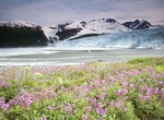 See Harriman Glacier, Alaska