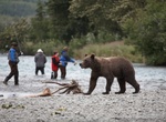 Fish Russian River (Alaska)