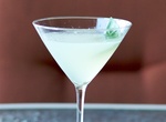 Drink a Gimlet