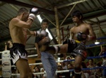 Learn Muay Thai