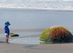See Moeraki Boulders, New Zealand