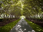 Visit Dallas Arboretum and Botanical Gardens, Texas