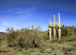 Explore Cave Creek Regional Park, Arizona