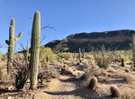 Explore Usery Mountain Regional Park, Arizona