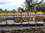 Drink Beer at Live Oak Brewing Company, Del Valle, Texas