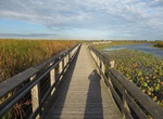 Explore Point Pelee National Park, Ontario, Canada