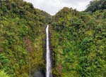 Visit Akaka Falls State Park, Big Island, Hawaii