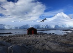 Visit Port Lockroy, Antarctica