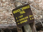 Hike Waihou Spring Forest Reserve, Maui, Hawaii
