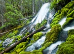 See Clearwater Falls, Oregon