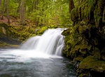 See Whitehorse Falls, Oregon