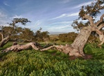 Visit Fort Ord National Monument, California