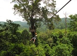 Zip-line in Flight of the Gibbon, Chiang Mai, Thailand