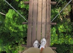 Zipline Flight Of The Gibbon, Pattaya, Thailand