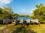 Explore Collier-Seminole State Park, Naples, Florida