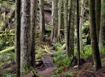 Hike Sunshine Coast Trail, British Columbia, Canada