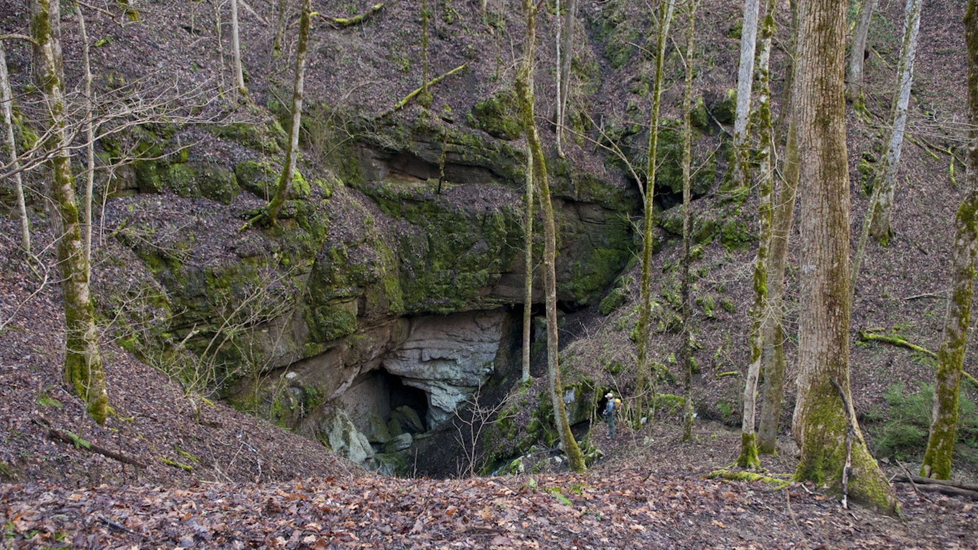 Gregory's Cave & Bull Cave