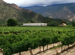 Wine Tasting in Cafayate, Salta, Argentina