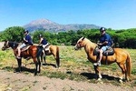 Pompei Ruins & Horseback riding on Vesuvius with Lunch!