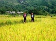 SAPA TREKKING TOUR BY BUS (two nights in hotel)