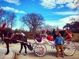 NYC Horse Carriage Ride in Central Park (50 Minutes - Photo Stops)
