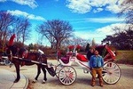 NYC Horse Carriage Ride in Central Park (50 Minutes - Photo Stops)