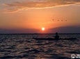 Kayaking and Snorkeling Experience through Sian Ka'an Biosphere Reserve