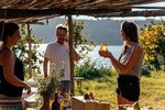 Scenic E-Bike Ride with Vineyard Wine & Meal 