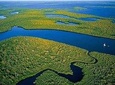 Private 4-Hour Exciting Everglades Tour