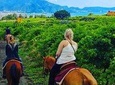 Horseback Riding on Vesuvius