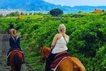 Horseback Riding on Vesuvius