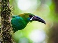 Ecuador Gateway 5 Days Tour