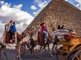 Private Cairo Tour to Pyramids of Giza Museum Citadel