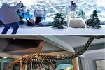 Day-Tour Highlights Hyderabad: Snow world and Birla Science Museum, lunch includ