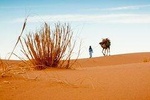 2 Day Zagora Tour from Marrakech Including the Atlas Mountains, Camel Trek and Desert Camp