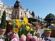 EVERLAND "From Hotel to Hotel" [Premium Private Tour: Only One Group for You]