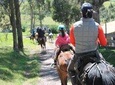 Roses & Horseback Riding (PRIVATE Day Trip from Quito)