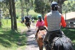 Roses & Horseback Riding (PRIVATE Day Trip from Quito)
