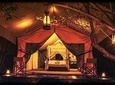 All Inclusive Tented Camping & Luxury Safari Tour in Yala