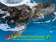 Ivan Bahia, private beach-tour, swim with turtles, visit Imbassai & Praia Forte