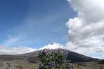 Guayaquil City Tour & Chocolate Farm with Typical Lunch PRIVATE Day Trip 