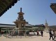 3-Days 2-Nights Gyeongju UNESCO Sites & Busan City [Private Tour from Seoul]