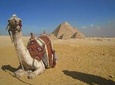 Giza Pyramids, Sakkara Pyramids & Memphis Private Full Day Tour Included Lunch