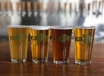 Drink Beer at Epic Brewing Company, Denver, Colorado