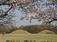 2 Days Gyeongju Private Tour from Seoul and Near Seoul